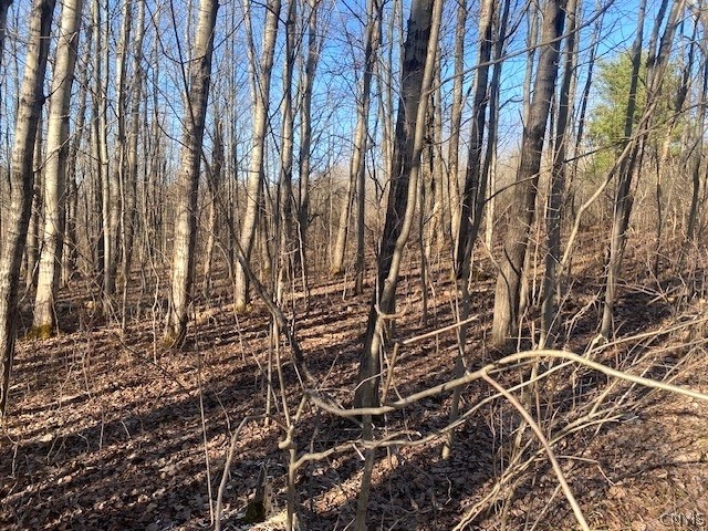 9134 West Hill Road Allen, NY 14735 - Photo 12 of 28