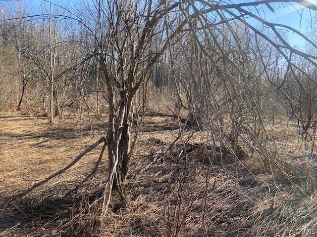 9134 West Hill Road Allen, NY 14735 - Photo 13 of 28