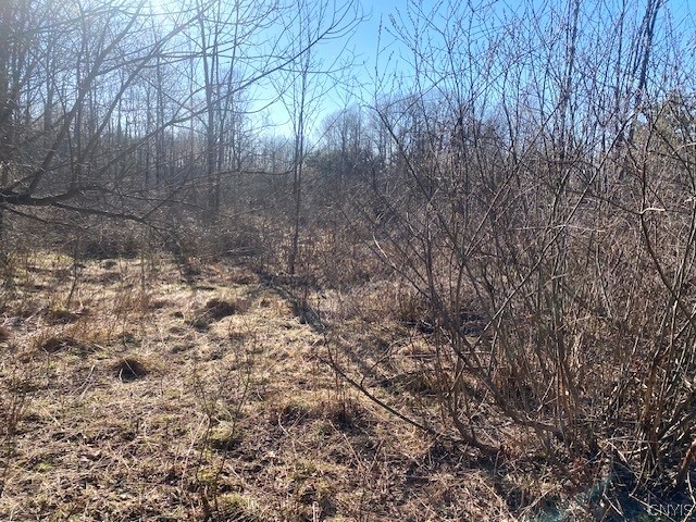 9134 West Hill Road Allen, NY 14735 - Photo 14 of 28