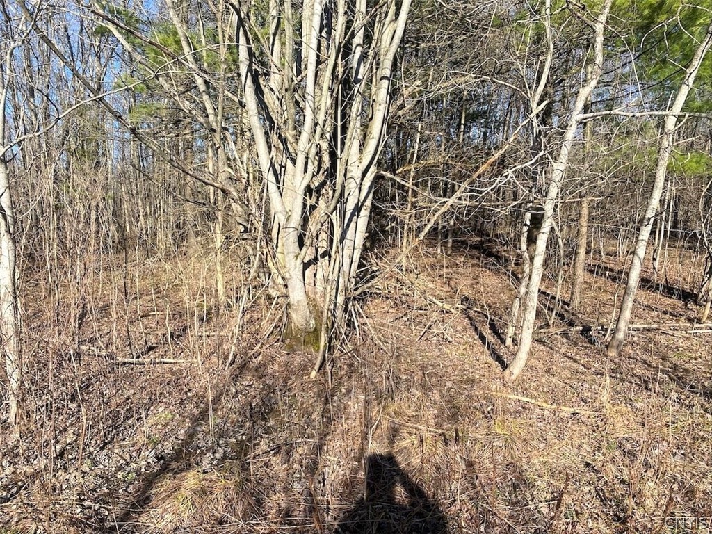 9134 West Hill Road Allen, NY 14735 - Photo 17 of 28