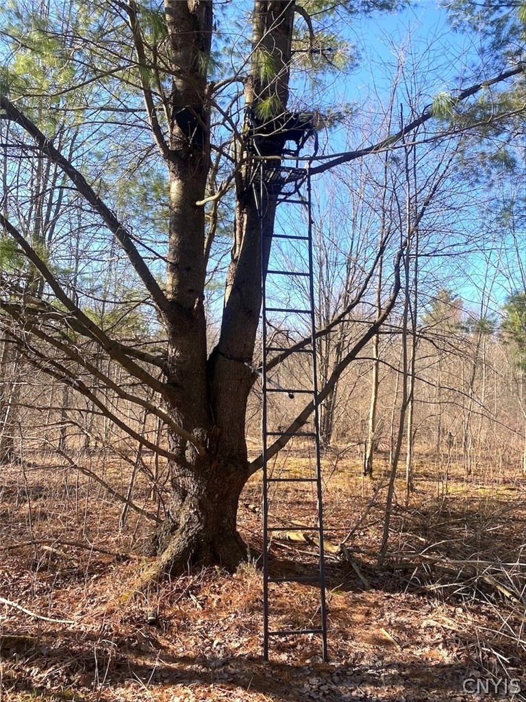 9134 West Hill Road Allen, NY 14735 - Photo 18 of 28