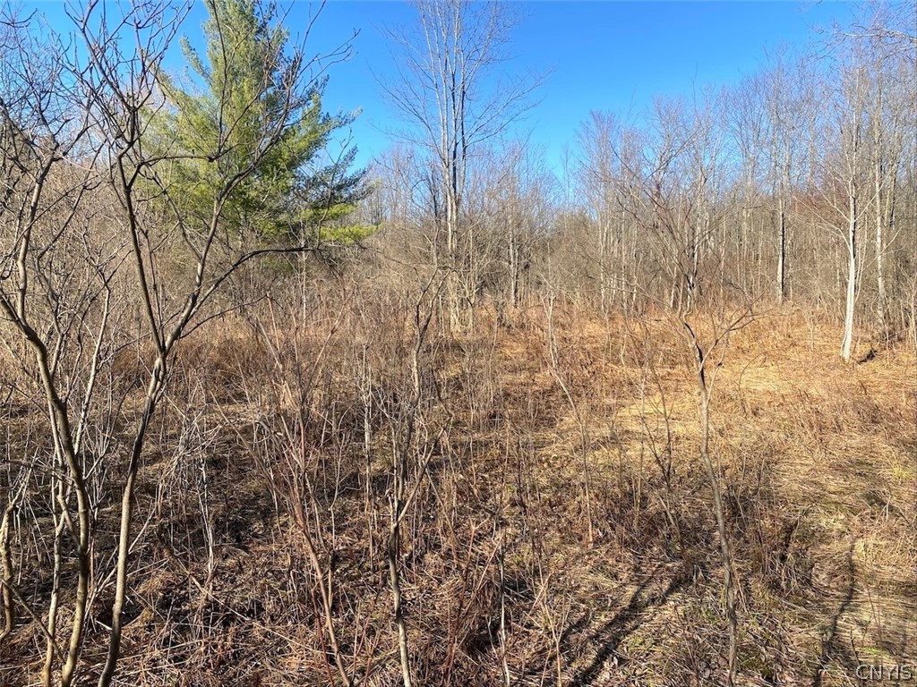 9134 West Hill Road Allen, NY 14735 - Photo 19 of 28