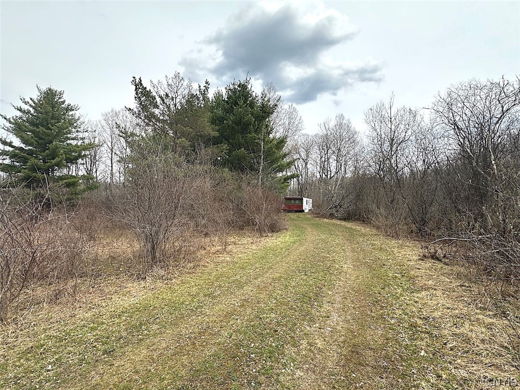 9134 West Hill Road Allen, NY 14735 - Photo 21 of 28