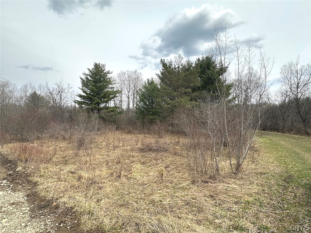 9134 West Hill Road Allen, NY 14735 - Photo 22 of 28