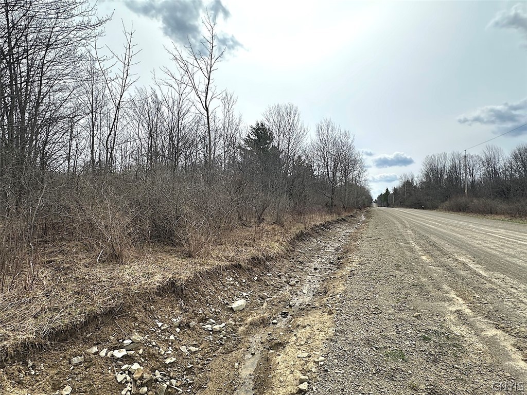 9134 West Hill Road Allen, NY 14735 - Photo 23 of 28