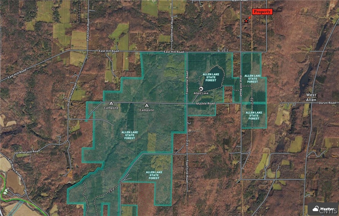 9134 West Hill Road Allen, NY 14735 - Photo 24 of 28