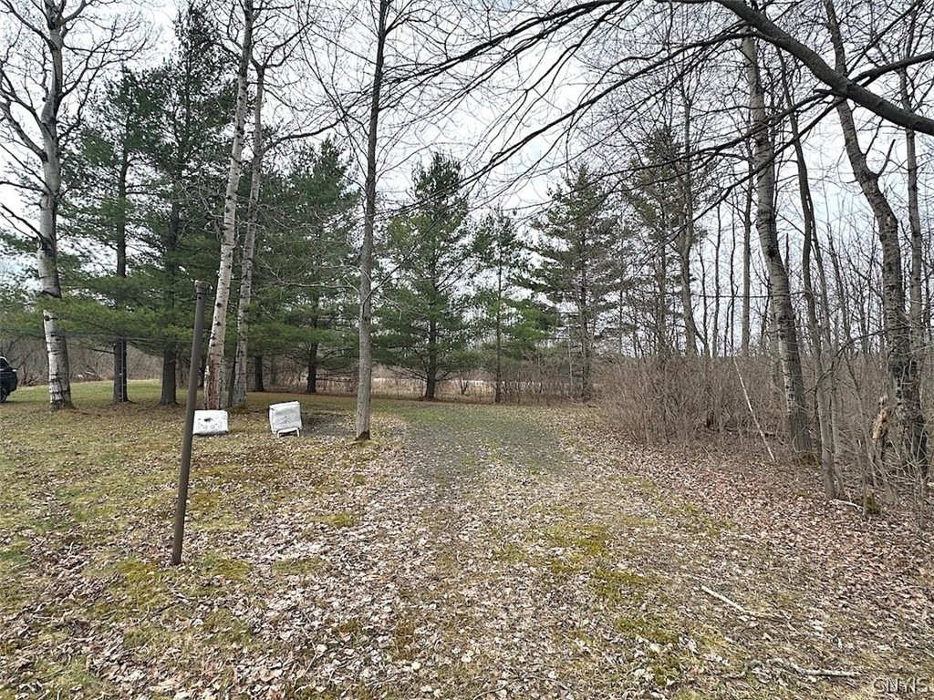 9134 West Hill Road Allen, NY 14735 - Photo 9 of 28