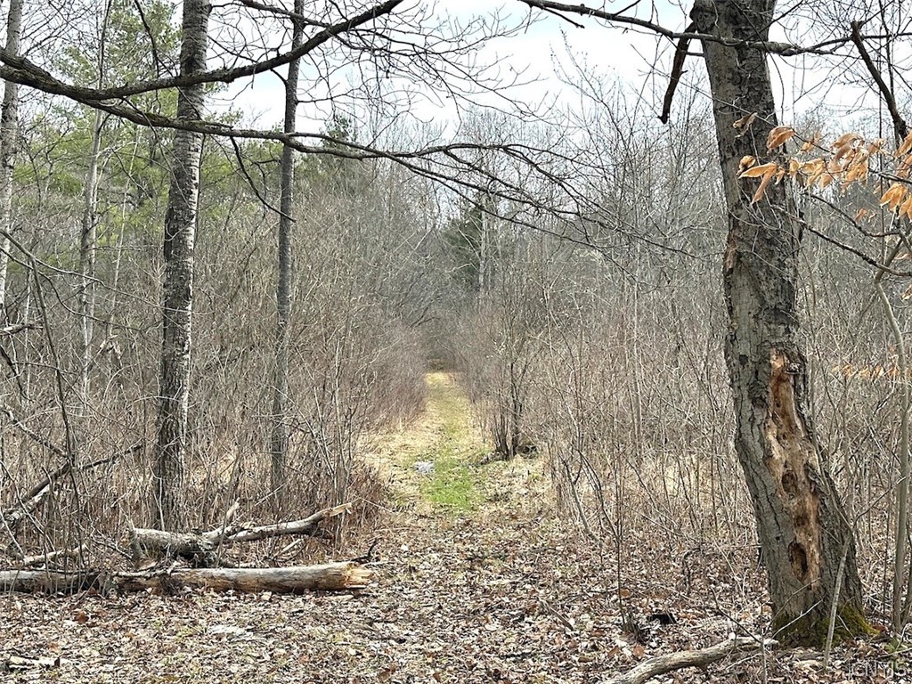 9134 West Hill Road Allen, NY 14735 - Photo 10 of 28