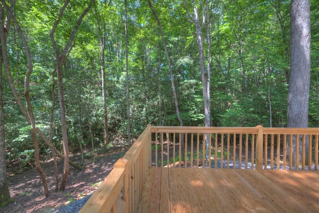 1254 Friendship Church Road Murphy, NC 28906 - Photo 37 of 47