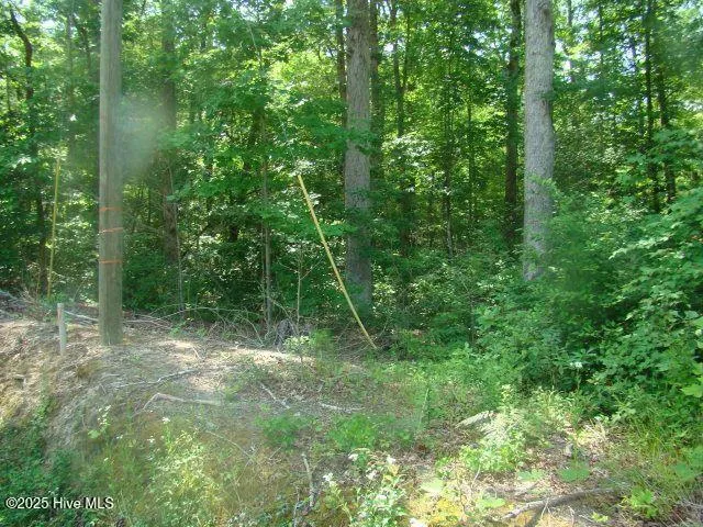 $12,000 | 1 Birch Lane, Blounts Creek, NC 27814