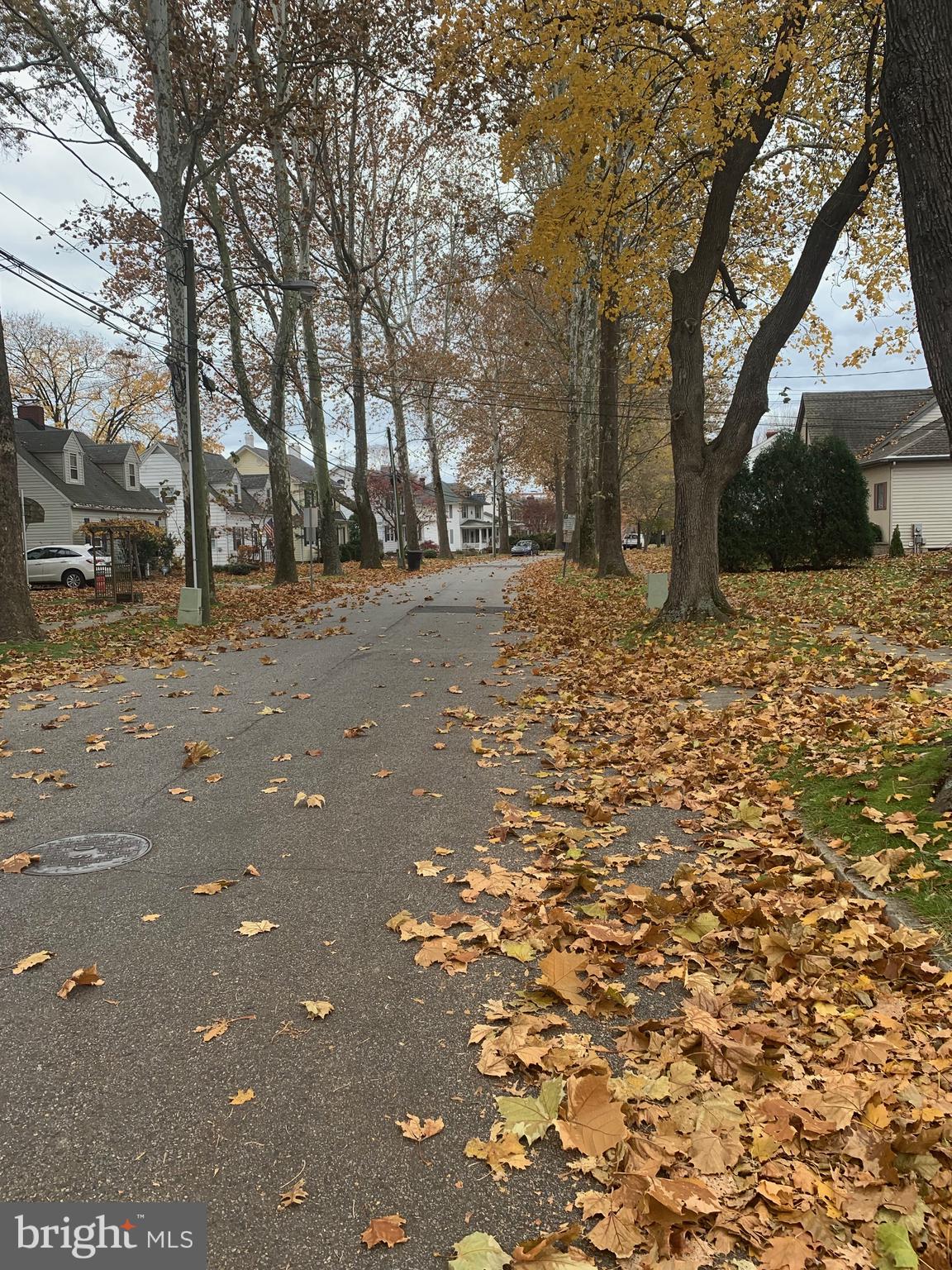 61 Elm Terrace Dover, DE 19901 - Photo 3 of 3 Quiet Elm Terrace