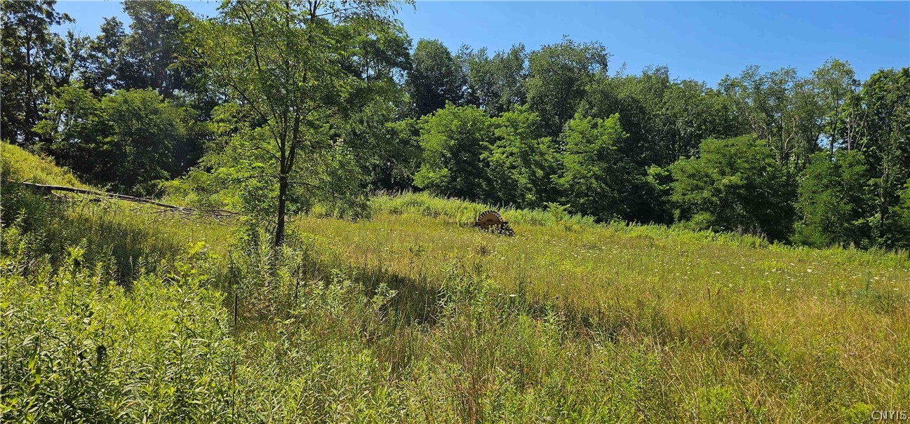 Hilton Road Dryden, NY 13053 - Photo 6 of 12 Gallery Image 6