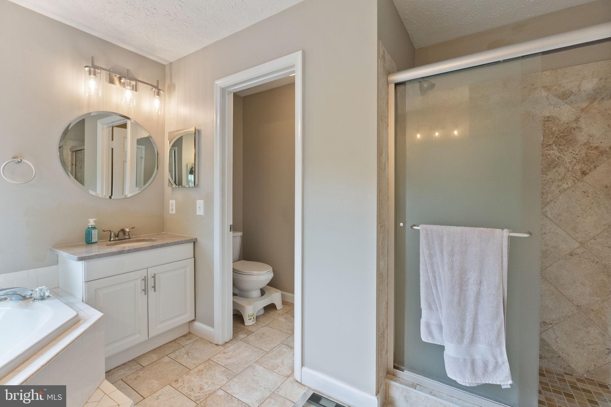 3207 Breckenridge Way Riva, MD 21140 - Photo 23 of 51 a spacious bathroom with a toilet a sink and mirror