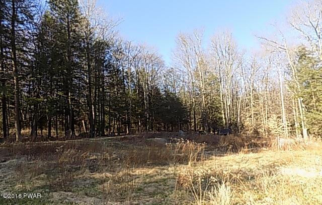 50 Long River Road Newfoundland, PA 18445 - Photo 13 of 70 DSCN5124