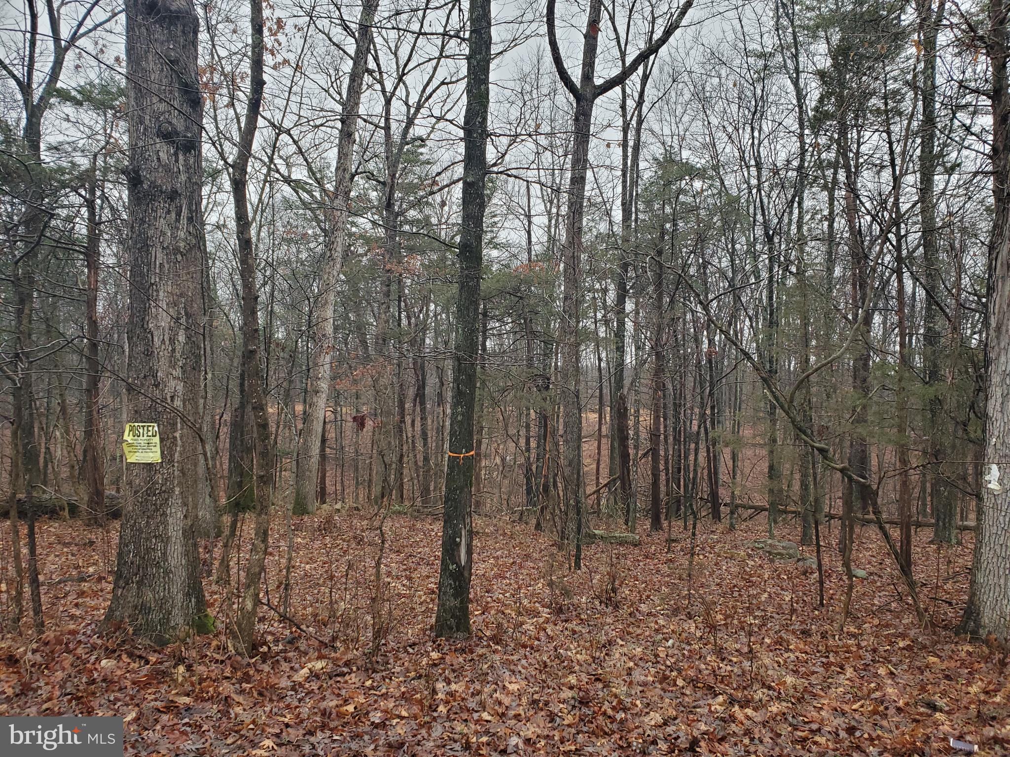 8788 Buckland Mill Road Gainesville, VA 20155 - Photo 1 of 2 Gallery Image 1