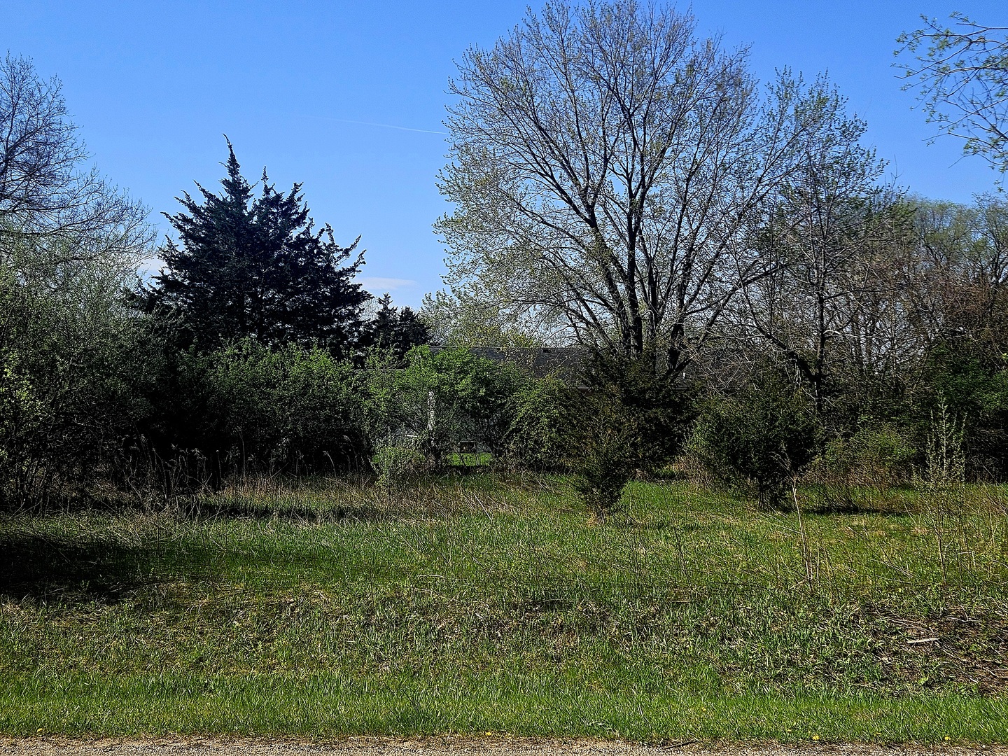 417 Des Moines Lane Dixon, IL 61021 - Photo 1 of 5 a view of a lush green forest