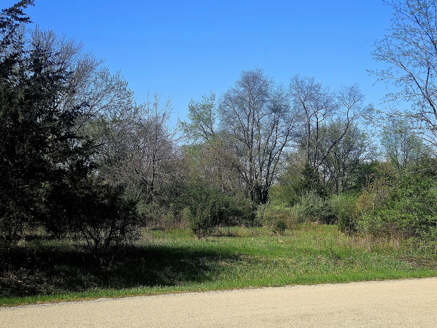417 Des Moines Lane Dixon, IL 61021 - Photo 3 of 5 a view of a park with large trees