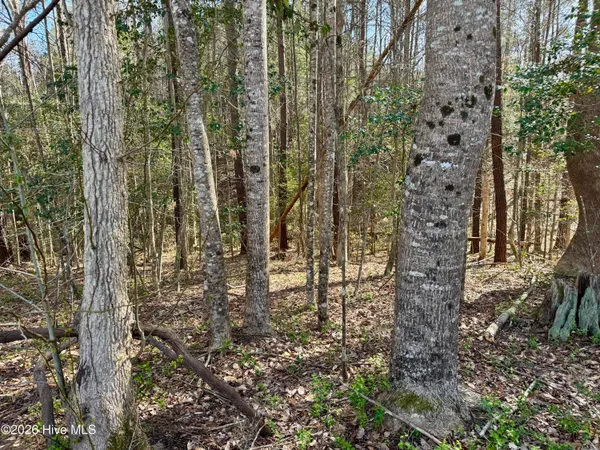 $105,000 | 0 Sr 1110 Off Blounts Creek, Blounts Creek, NC 27814