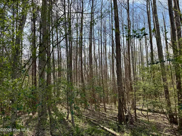 $105,000 | 0 Sr 1110 Off Blounts Creek, Blounts Creek, NC 27814