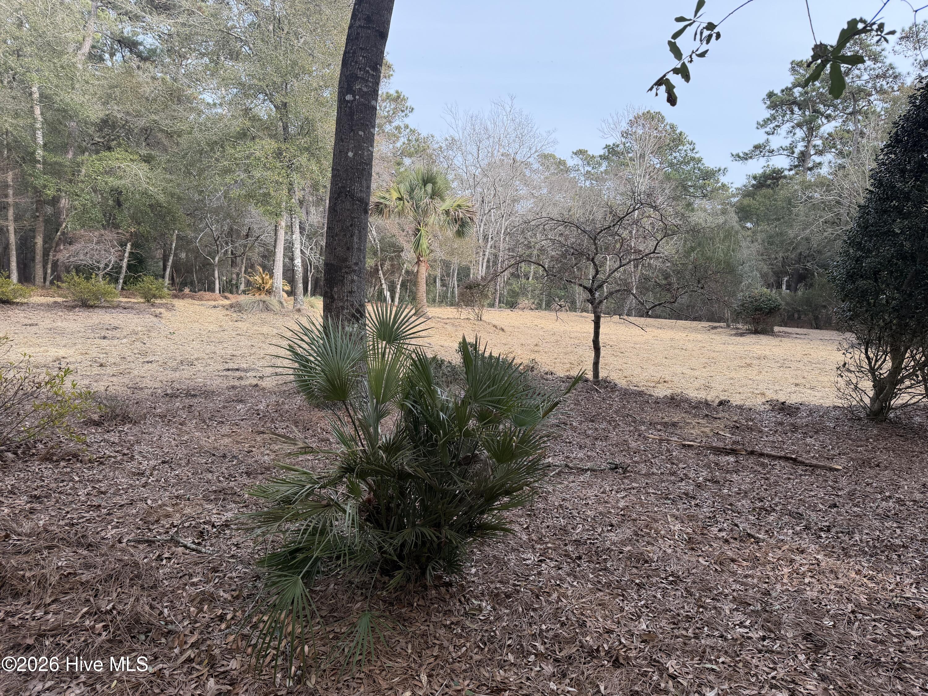 591 Valverda Street Southwest Supply, NC 28462 - Photo 11 of 16 IMG_0063