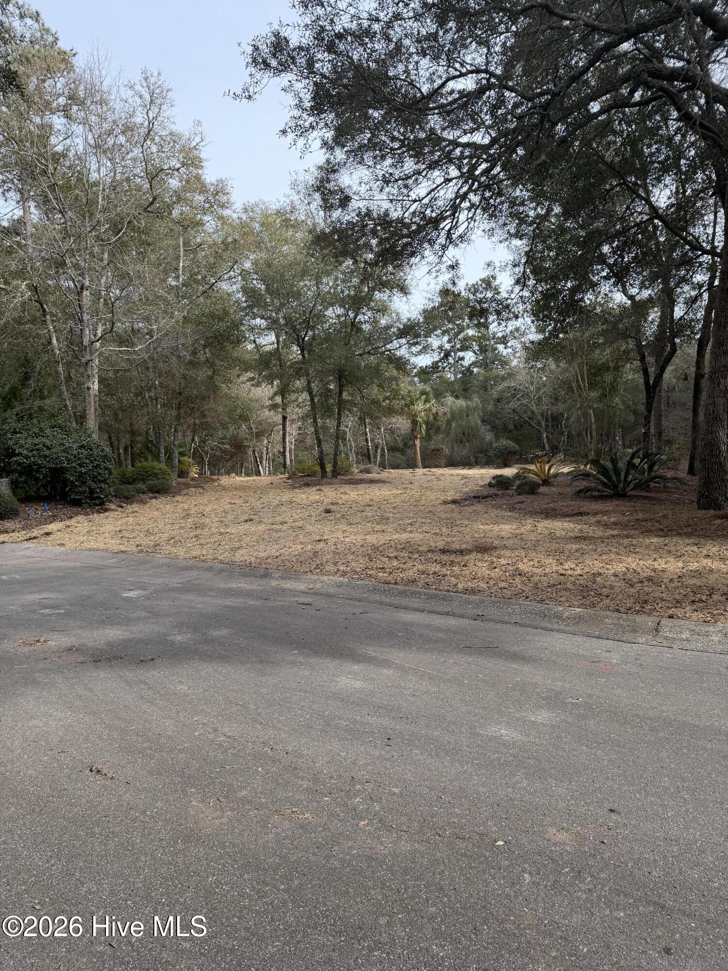 591 Valverda Street Southwest Supply, NC 28462 - Photo 12 of 16 IMG_0077