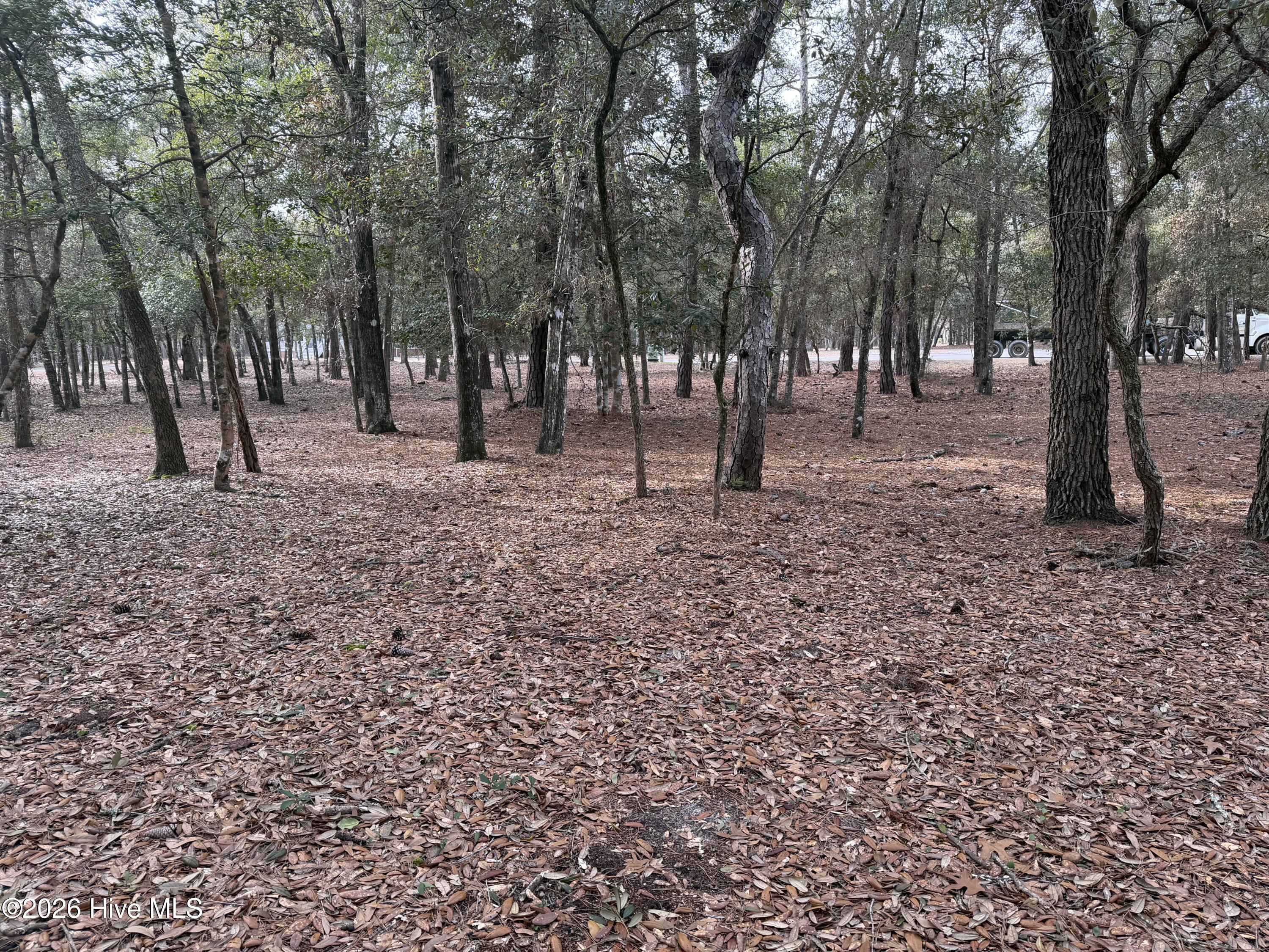 591 Valverda Street Southwest Supply, NC 28462 - Photo 13 of 16 IMG_0070