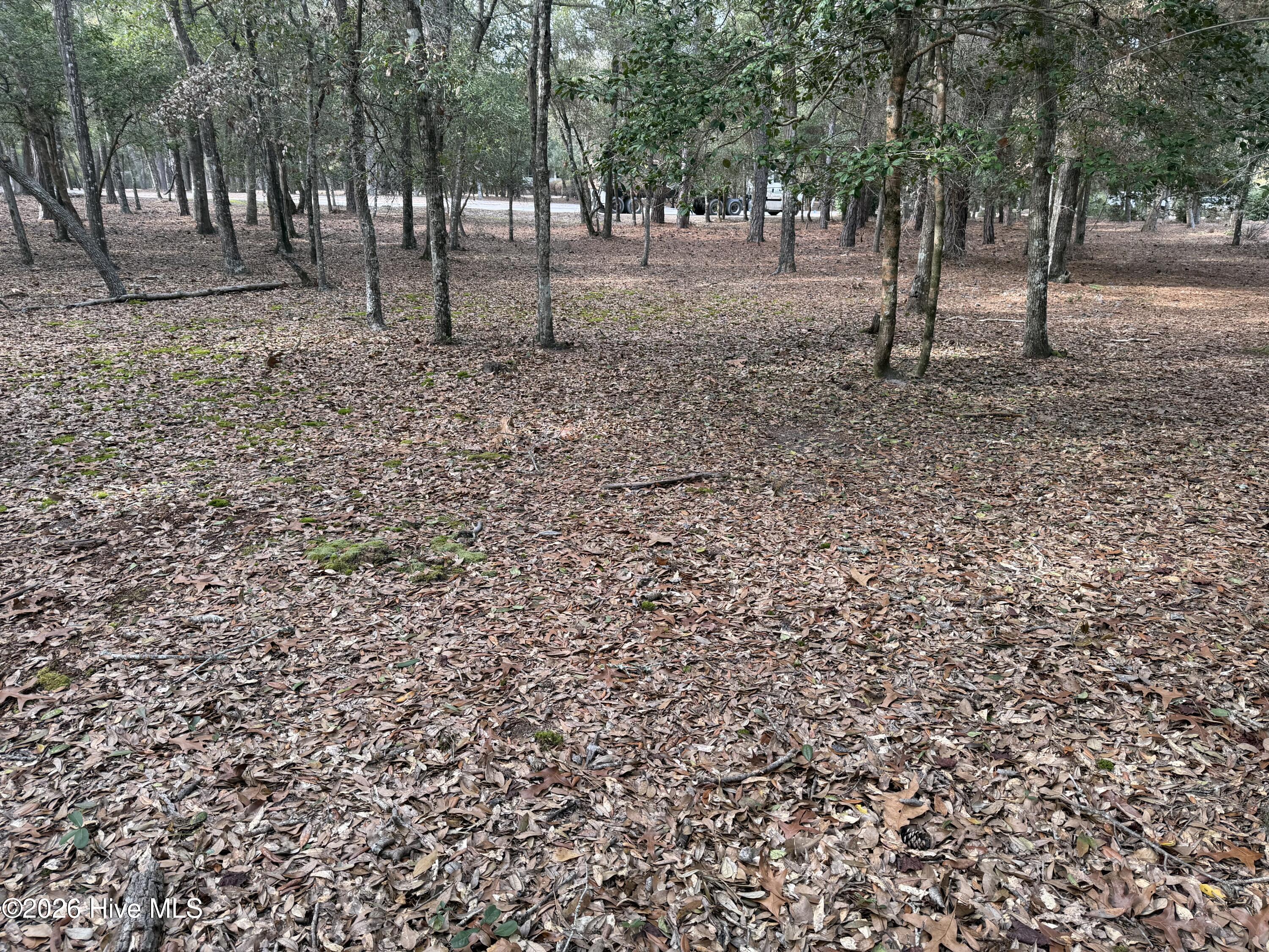 591 Valverda Street Southwest Supply, NC 28462 - Photo 14 of 16 IMG_0071