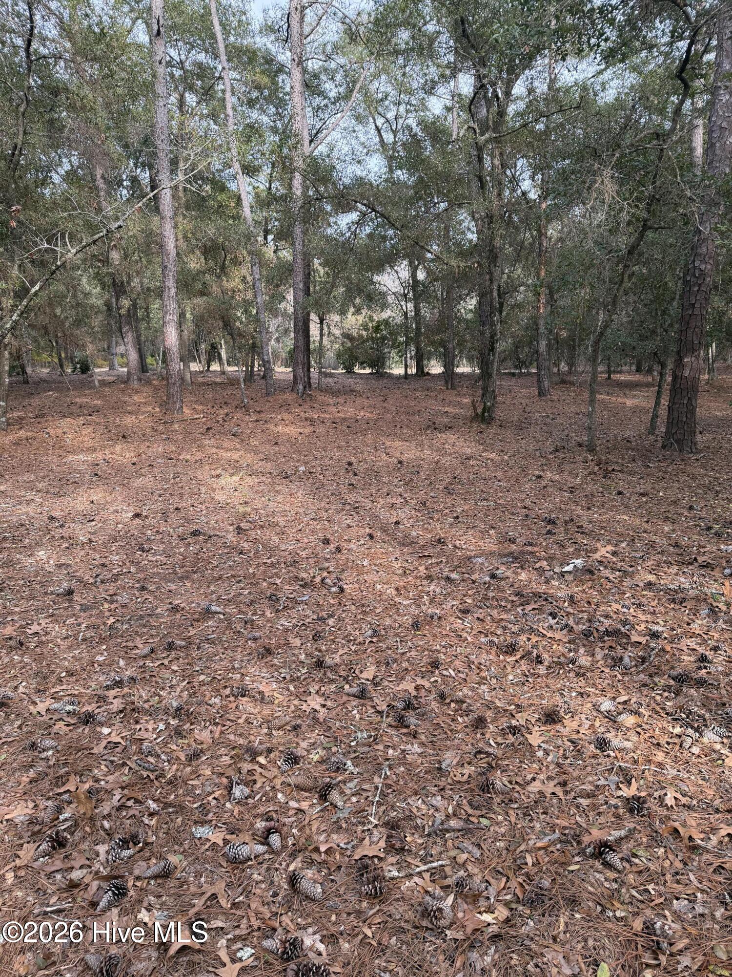 591 Valverda Street Southwest Supply, NC 28462 - Photo 16 of 16 IMG_0073