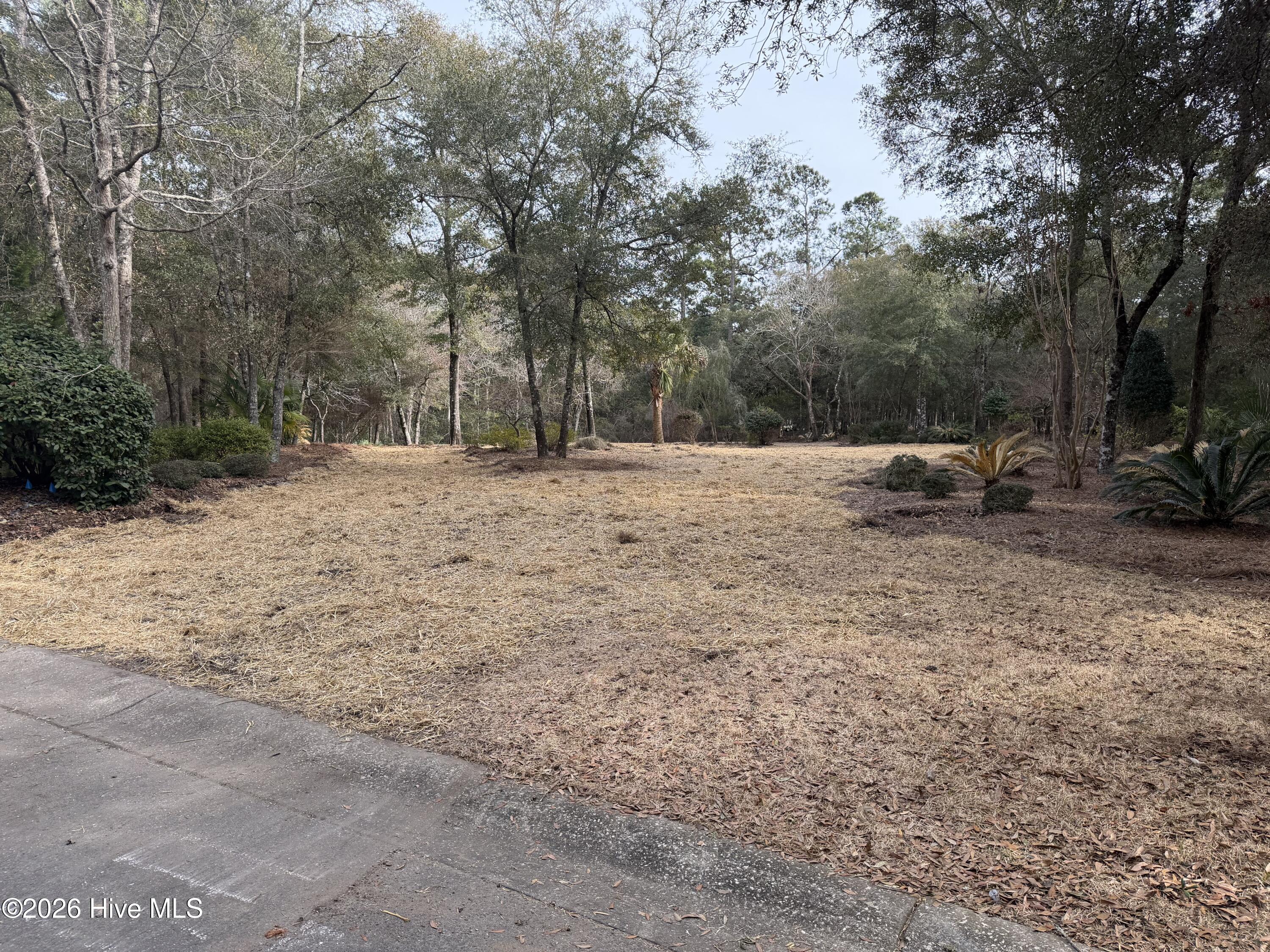 591 Valverda Street Southwest Supply, NC 28462 - Photo 2 of 16 IMG_0061