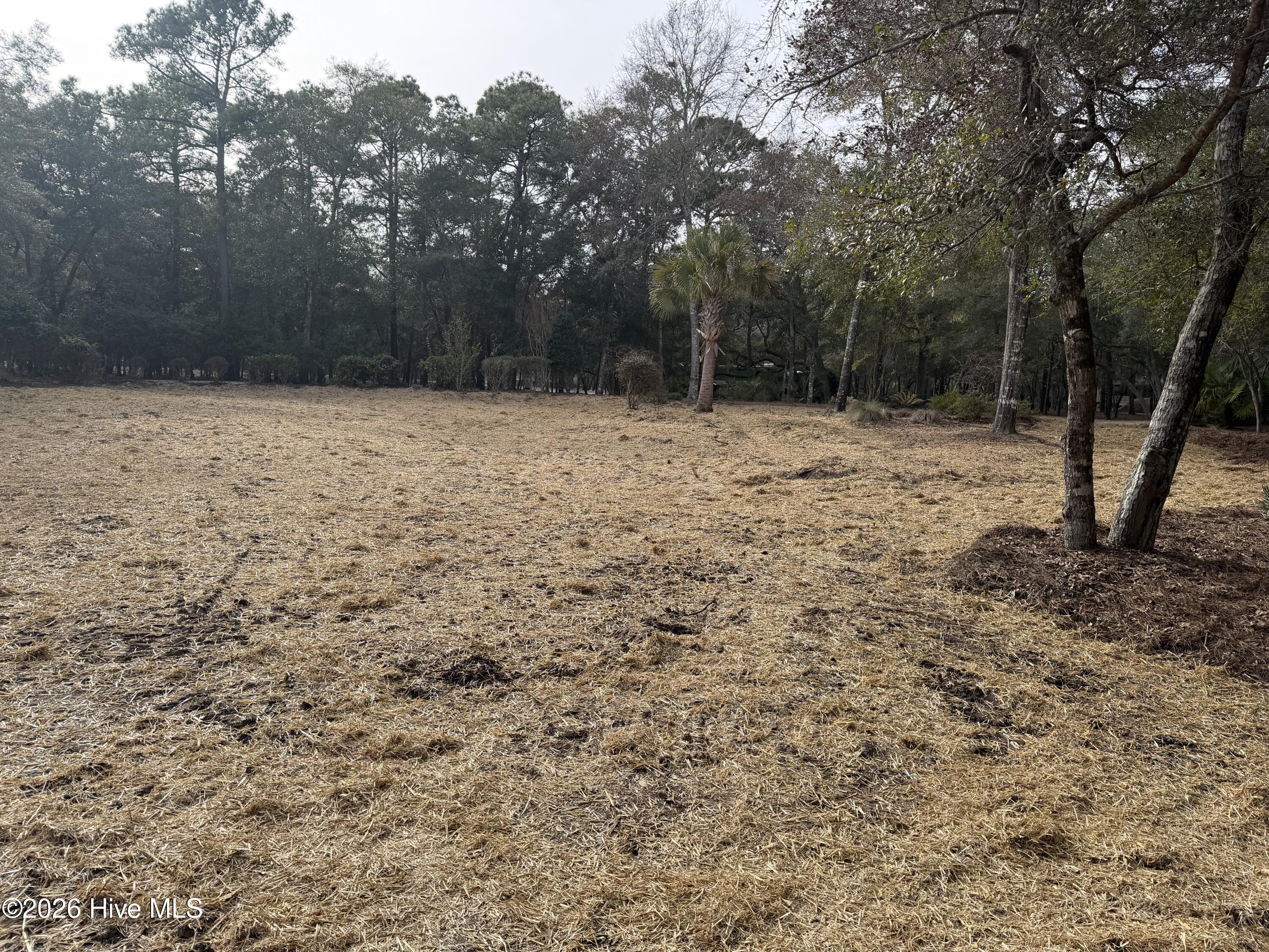 591 Valverda Street Southwest Supply, NC 28462 - Photo 5 of 16 IMG_0066