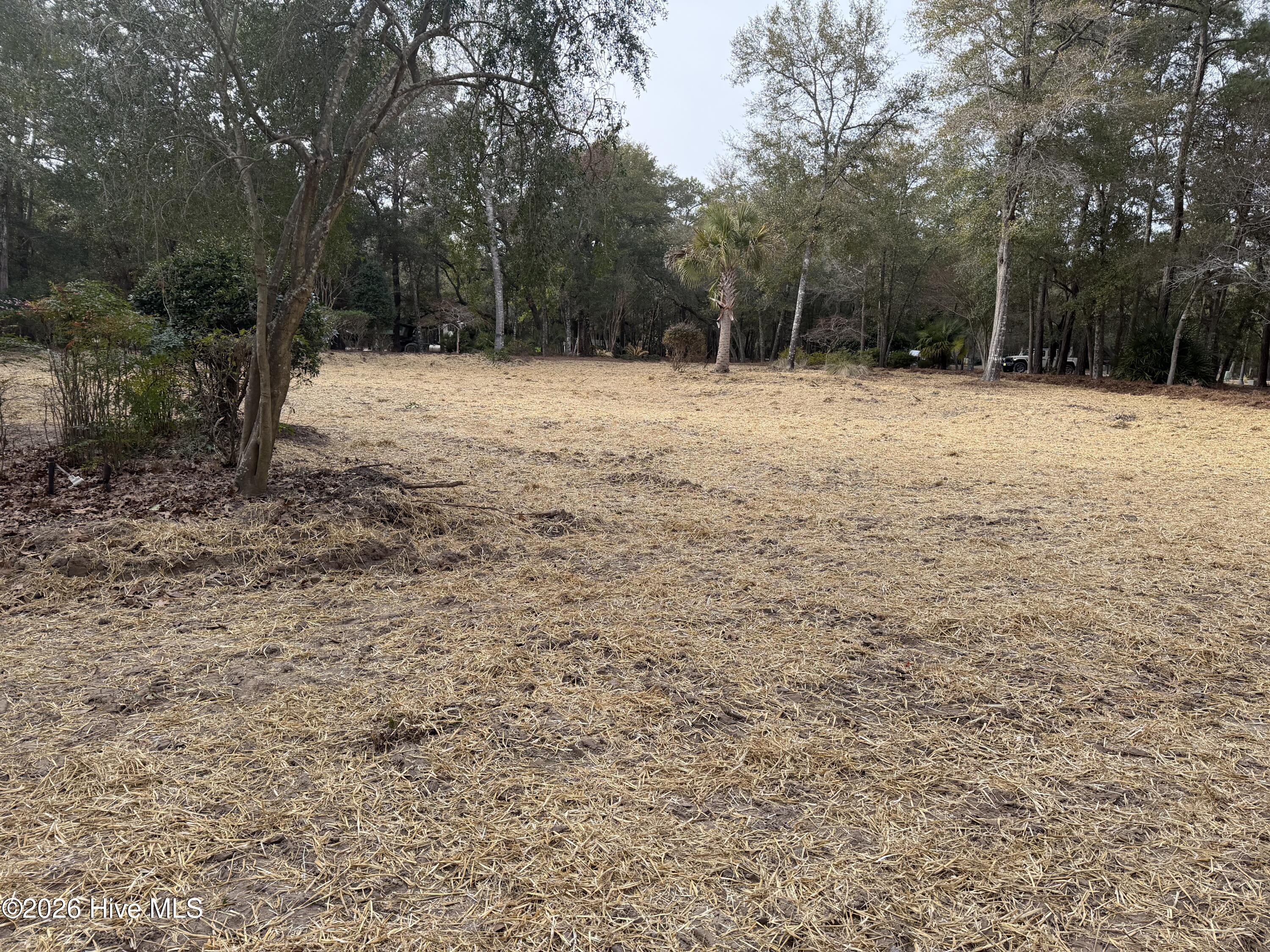 591 Valverda Street Southwest Supply, NC 28462 - Photo 6 of 16 IMG_0067