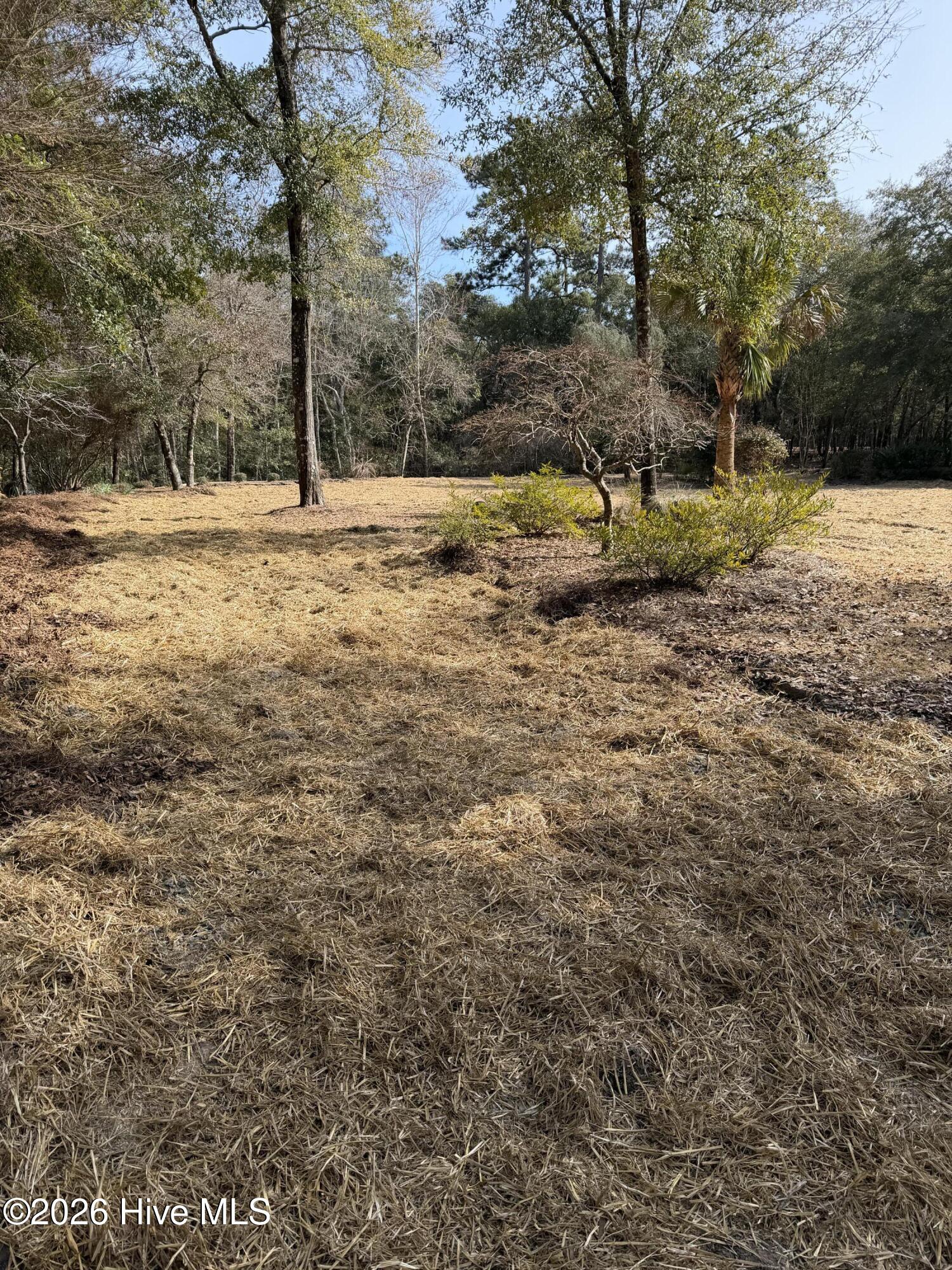 591 Valverda Street Southwest Supply, NC 28462 - Photo 8 of 16 IMG_0053