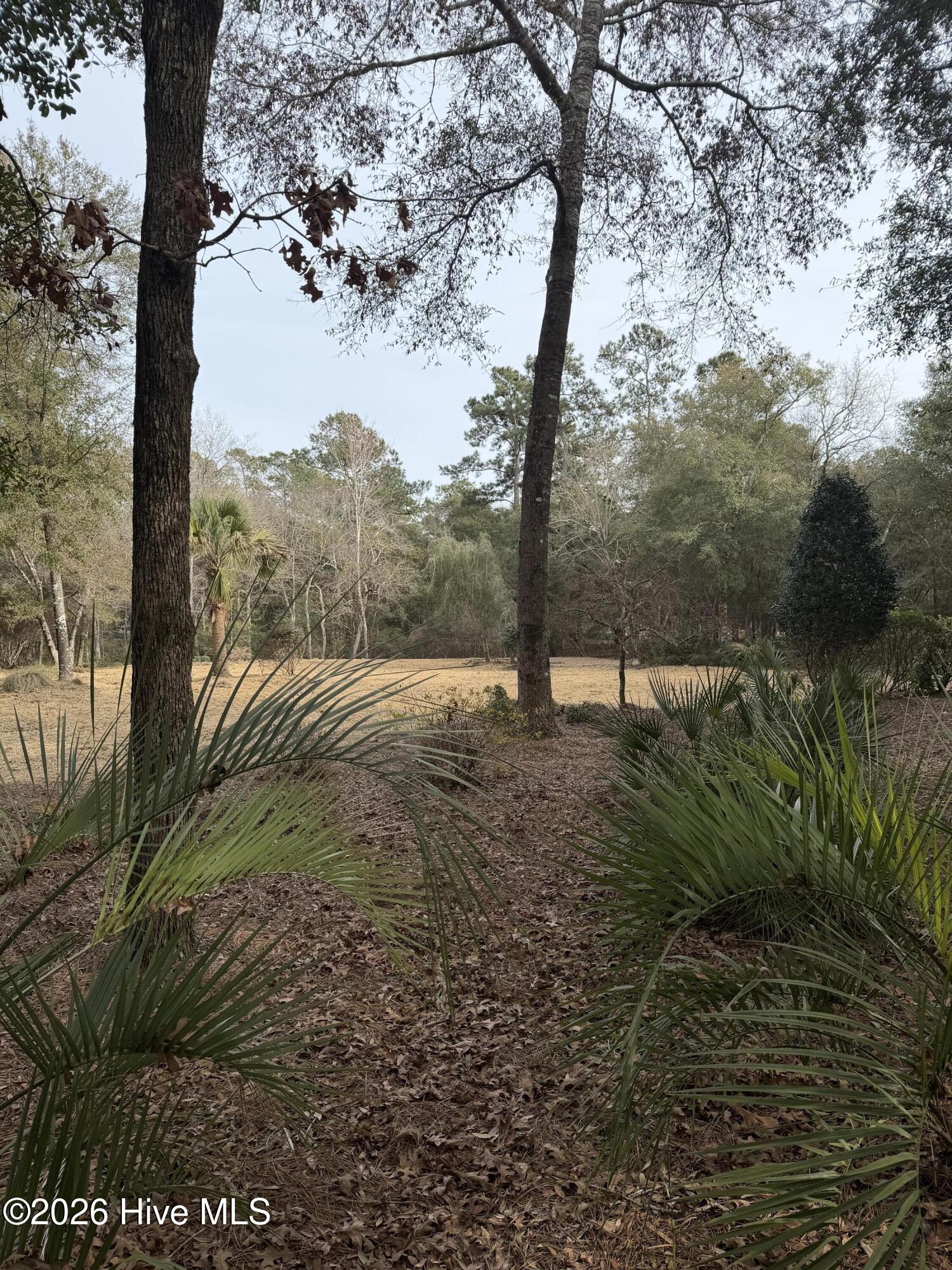 591 Valverda Street Southwest Supply, NC 28462 - Photo 10 of 16 IMG_0062