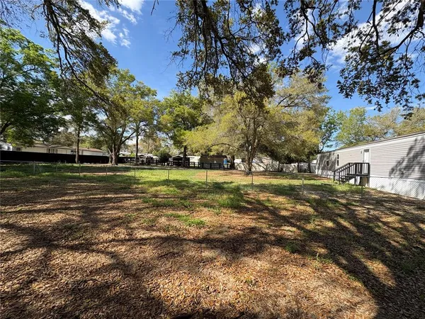 a view of a yard with trees