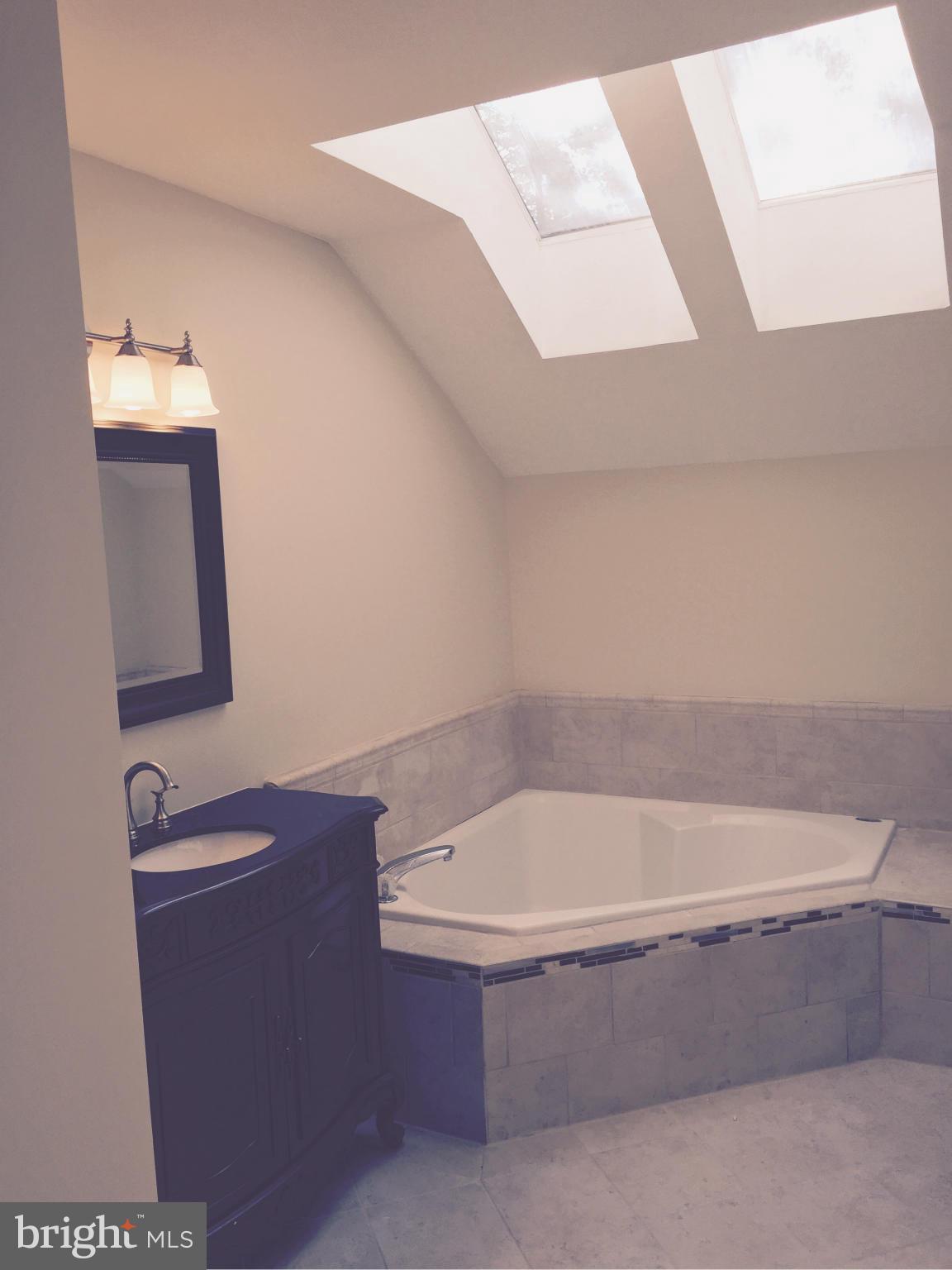 7021 Fox Chase Road New Market, MD 21774 - Photo 11 of 26 Spa master bath w/skylights