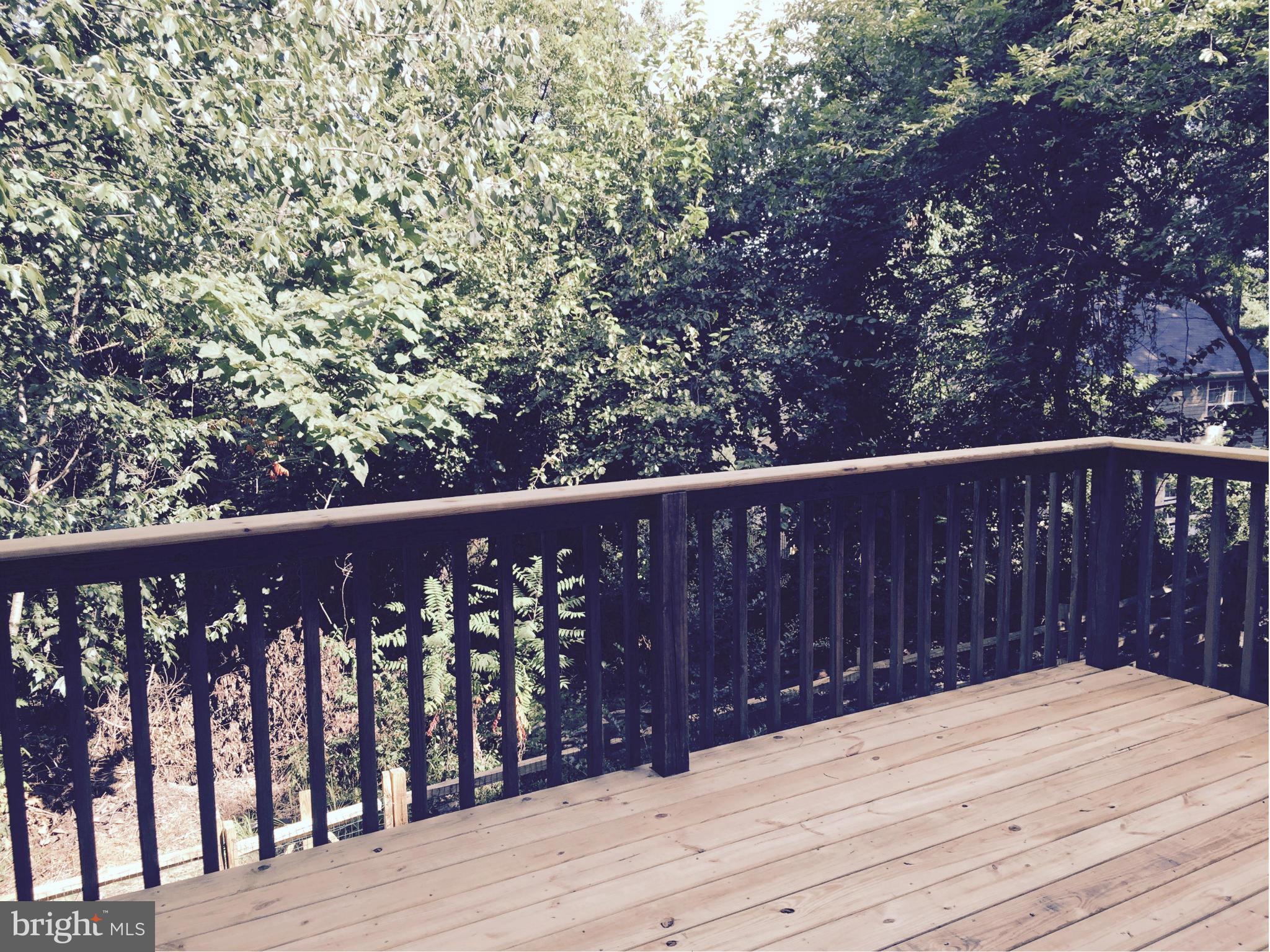 7021 Fox Chase Road New Market, MD 21774 - Photo 22 of 26 View from the private back deck