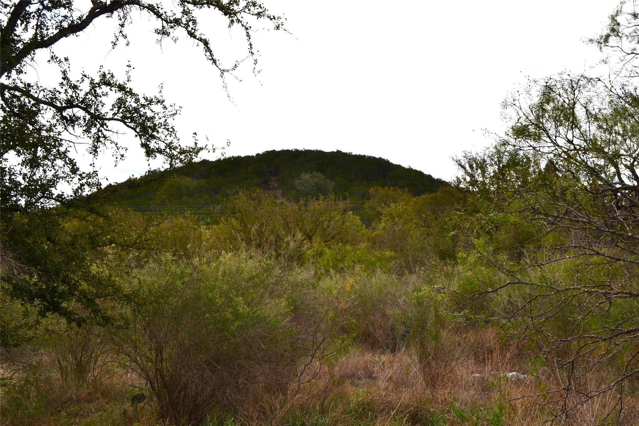 0 Ranch Road 2241 Tow, TX 78672 - Photo 17 of 33 Vast natural landscaping surrounds a verdant, tree-covered hill.