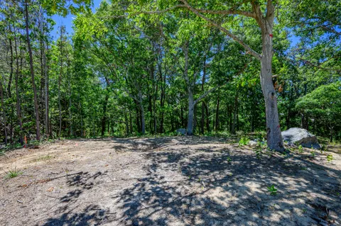 a view of backyard with green space