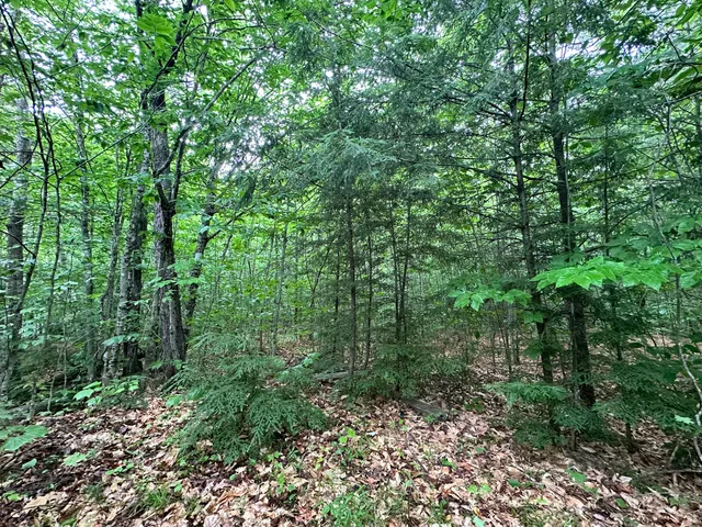 $96,000 | 1-20 Claybrook Road, Kingfield, ME 04947