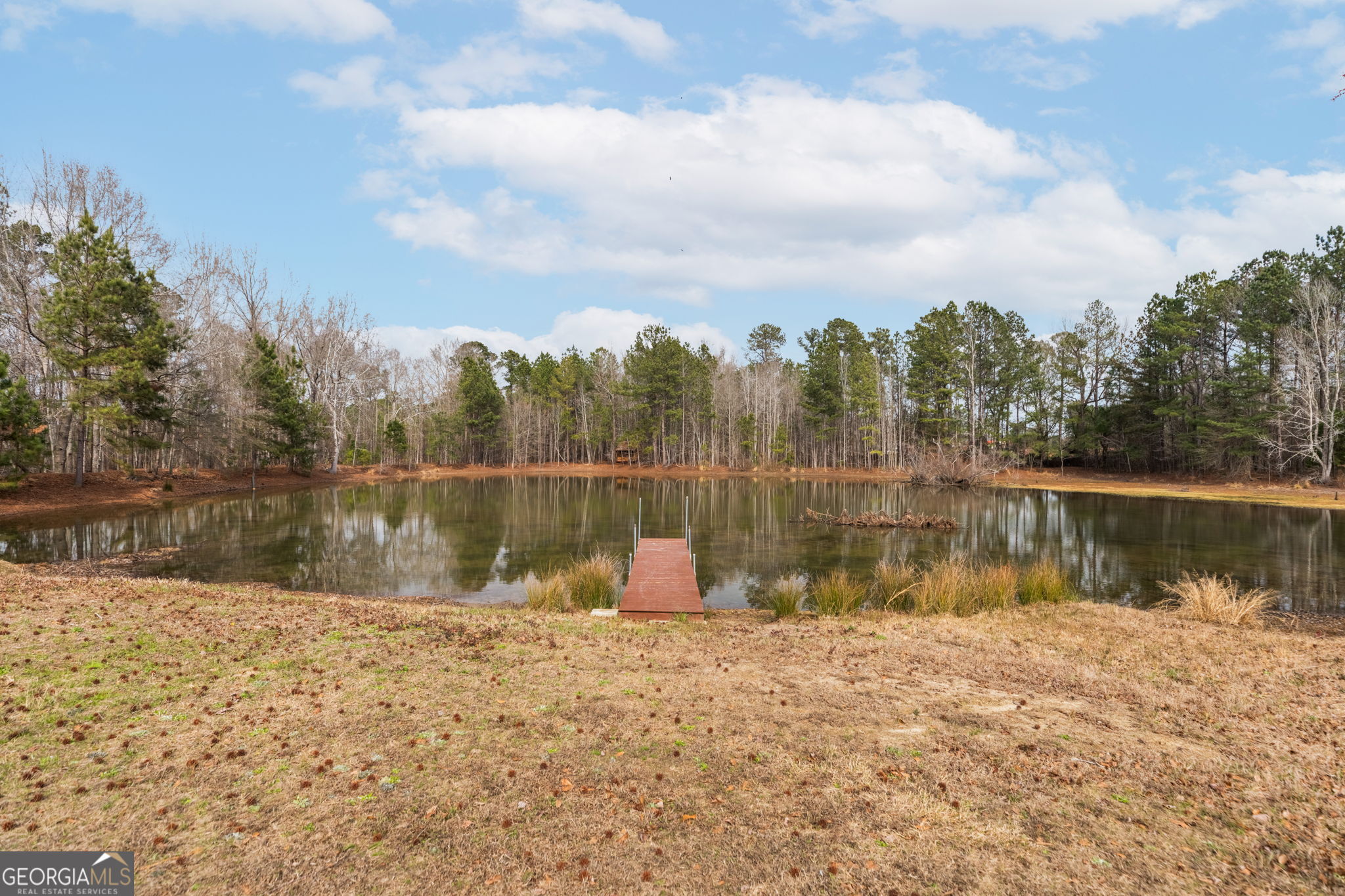 8673 Highway 242 Harrison, GA 31035 - Photo 38 of 54