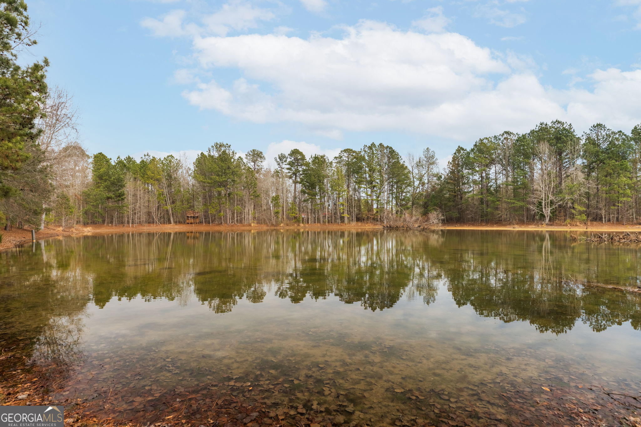 8673 Highway 242 Harrison, GA 31035 - Photo 39 of 54