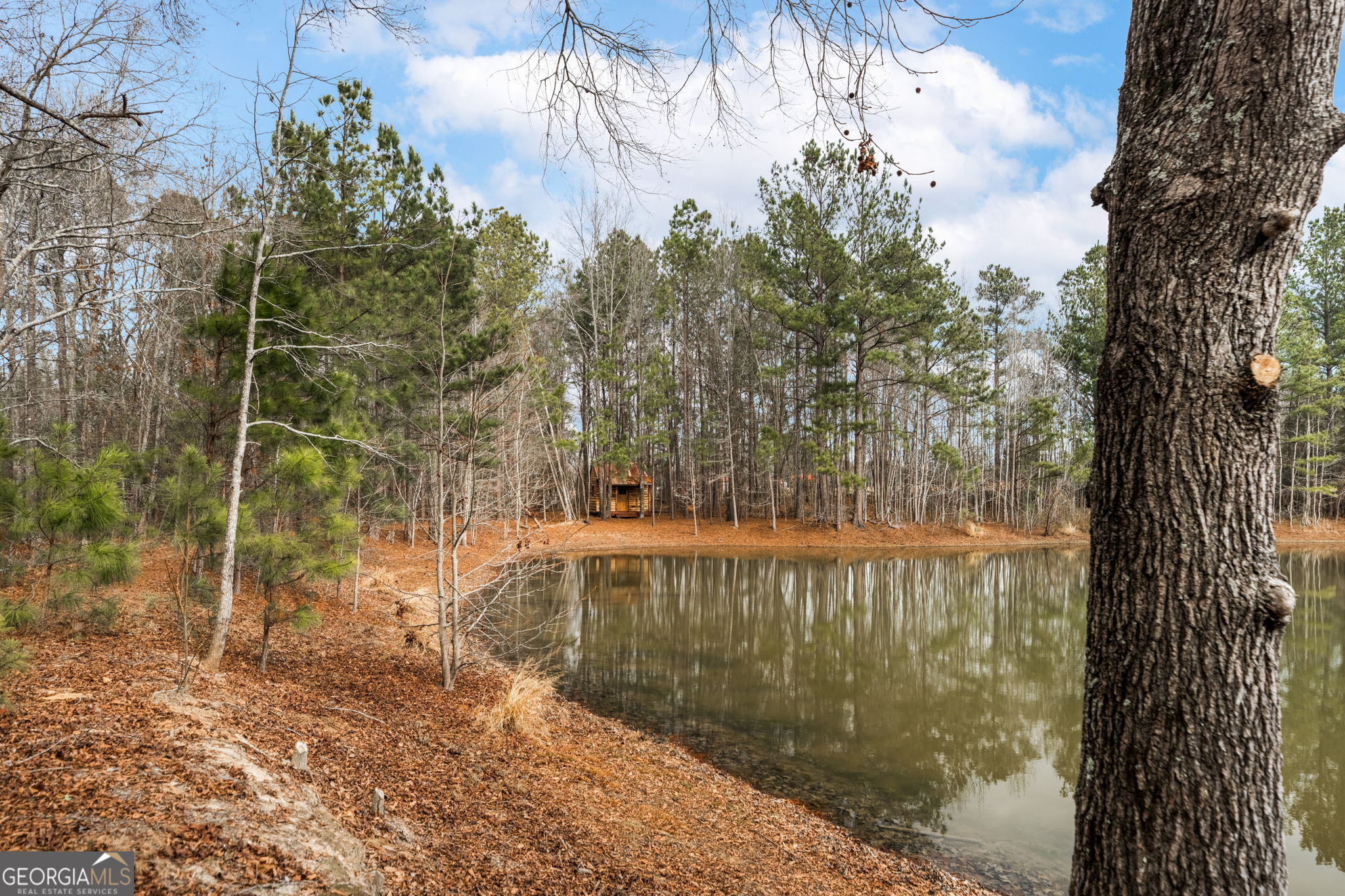 8673 Highway 242 Harrison, GA 31035 - Photo 40 of 54