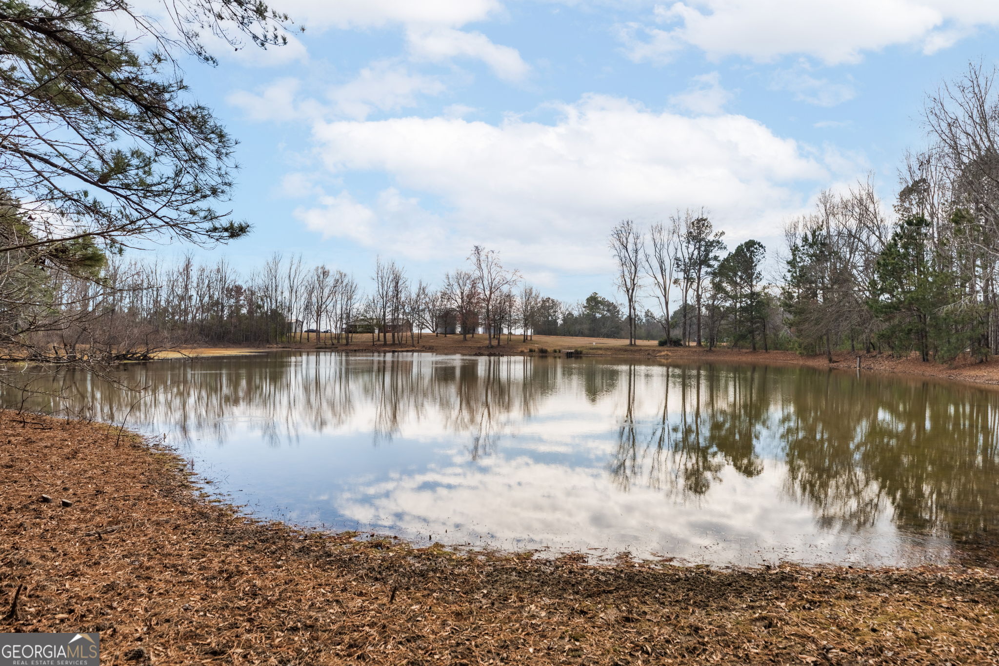 8673 Highway 242 Harrison, GA 31035 - Photo 47 of 54