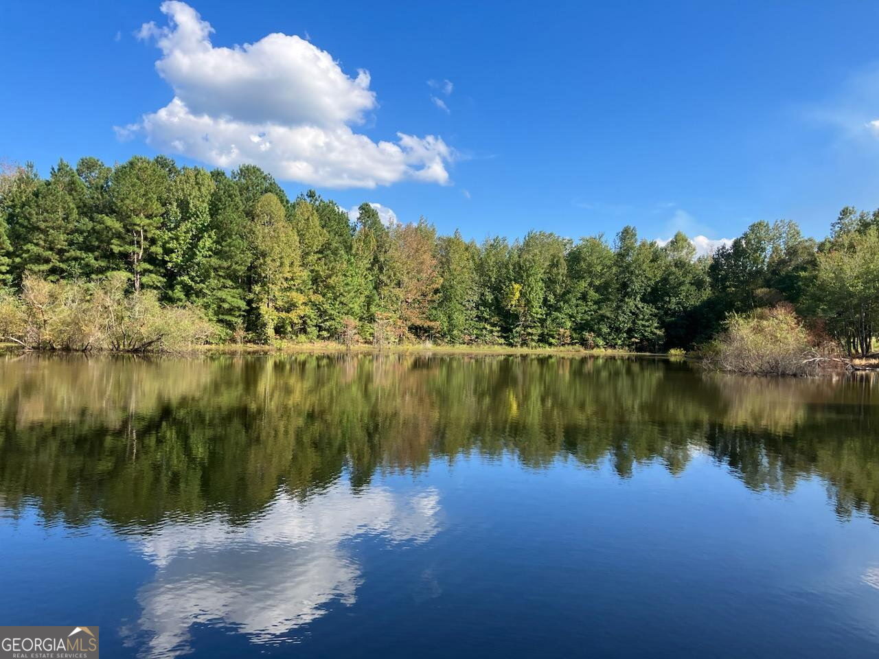 8673 Highway 242 Harrison, GA 31035 - Photo 54 of 54