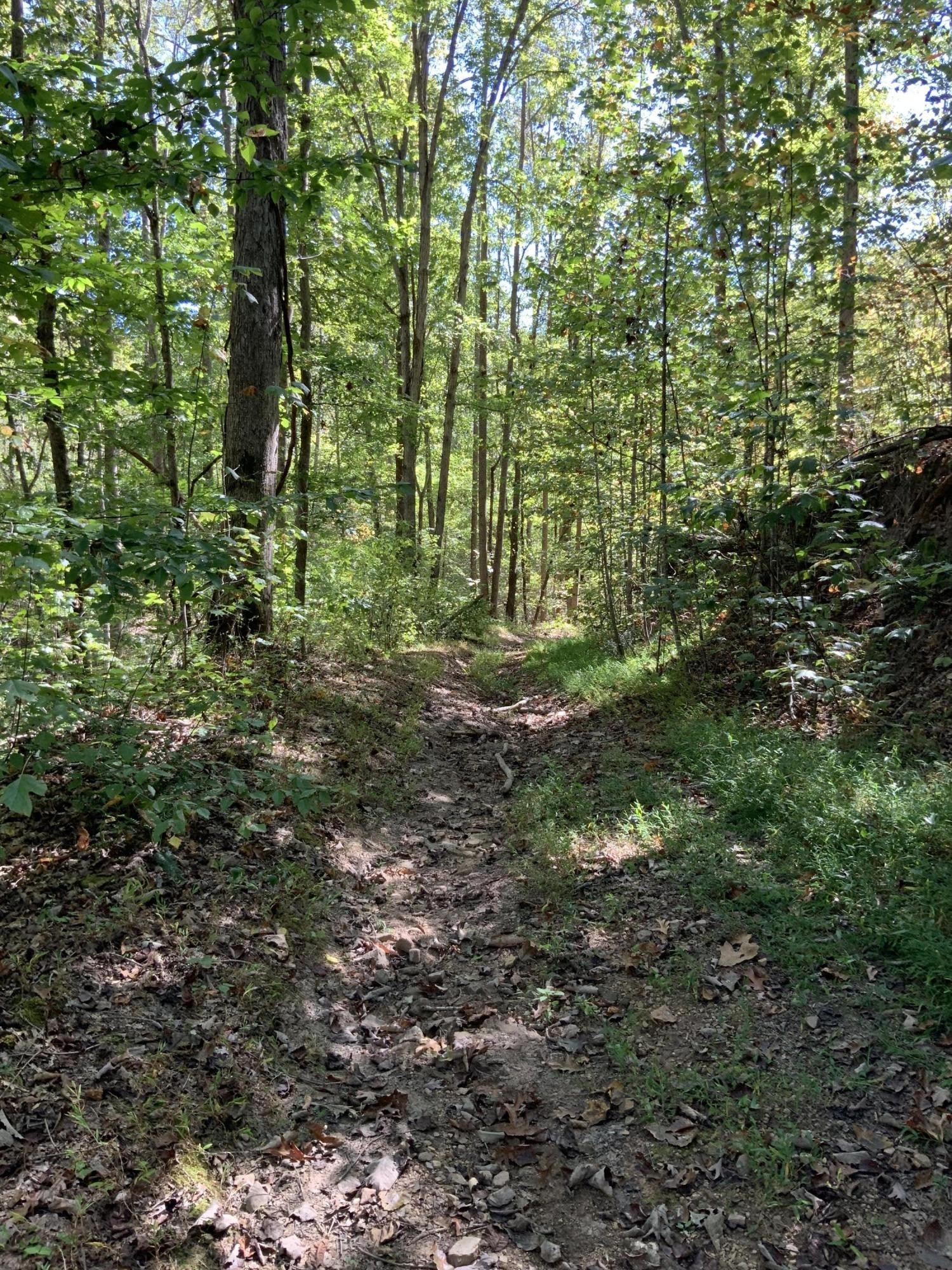 0 Laurel Bluff Road Kingston, TN 37763 - Photo 2 of 11 Gallery Image 2