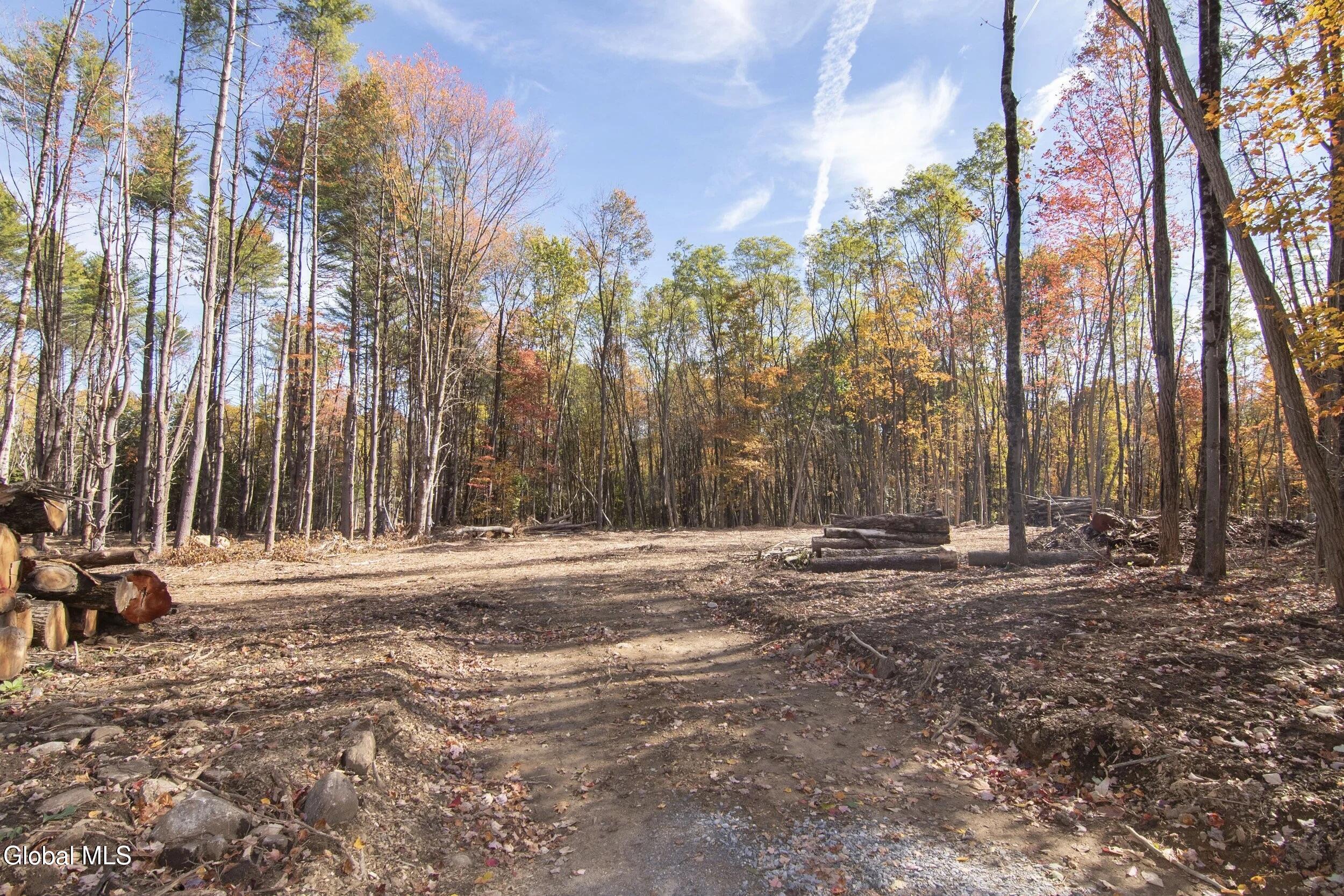 101 A Sand Hill Road Greenfield, NY 12833 - Photo 7 of 8 5