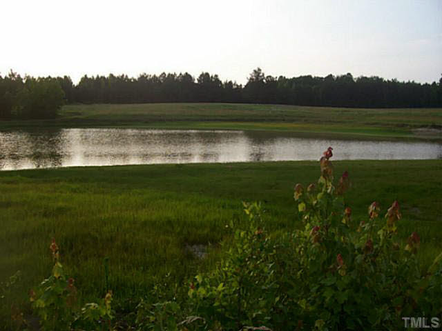 Hurdle Mills Road Cedar Grove, NC 27231 - Photo 1 of 6 Photo 1