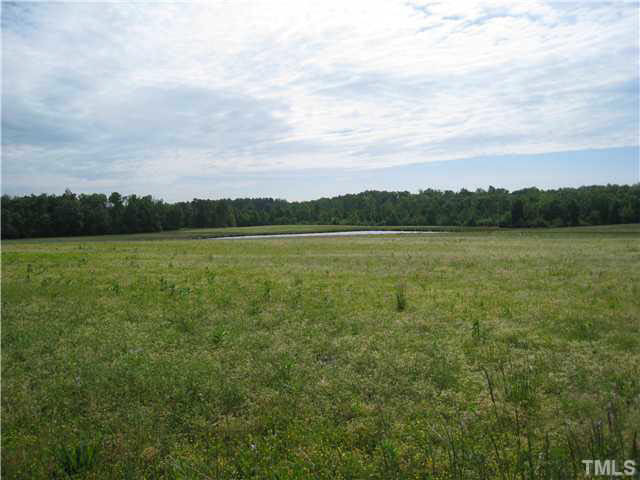 Hurdle Mills Road Cedar Grove, NC 27231 - Photo 2 of 6 Photo 2