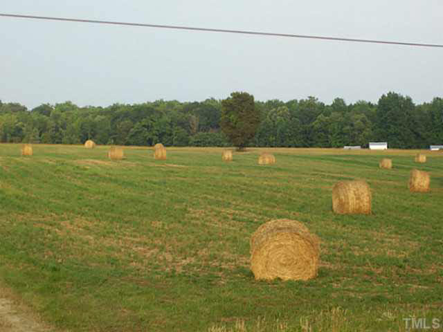 Hurdle Mills Road Cedar Grove, NC 27231 - Photo 3 of 6 Photo 3