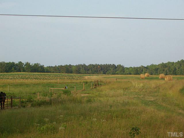 Hurdle Mills Road Cedar Grove, NC 27231 - Photo 4 of 6 Photo 4